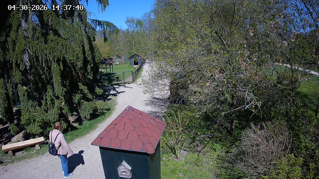 Webcam - Častolovice