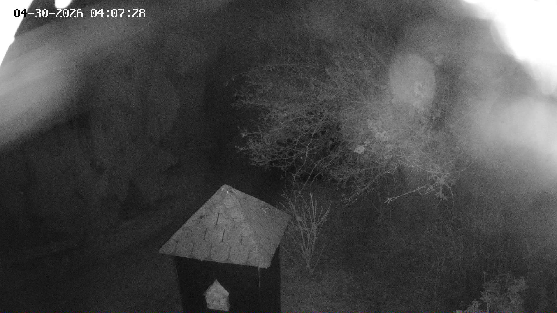 Webkamera - Častolovice