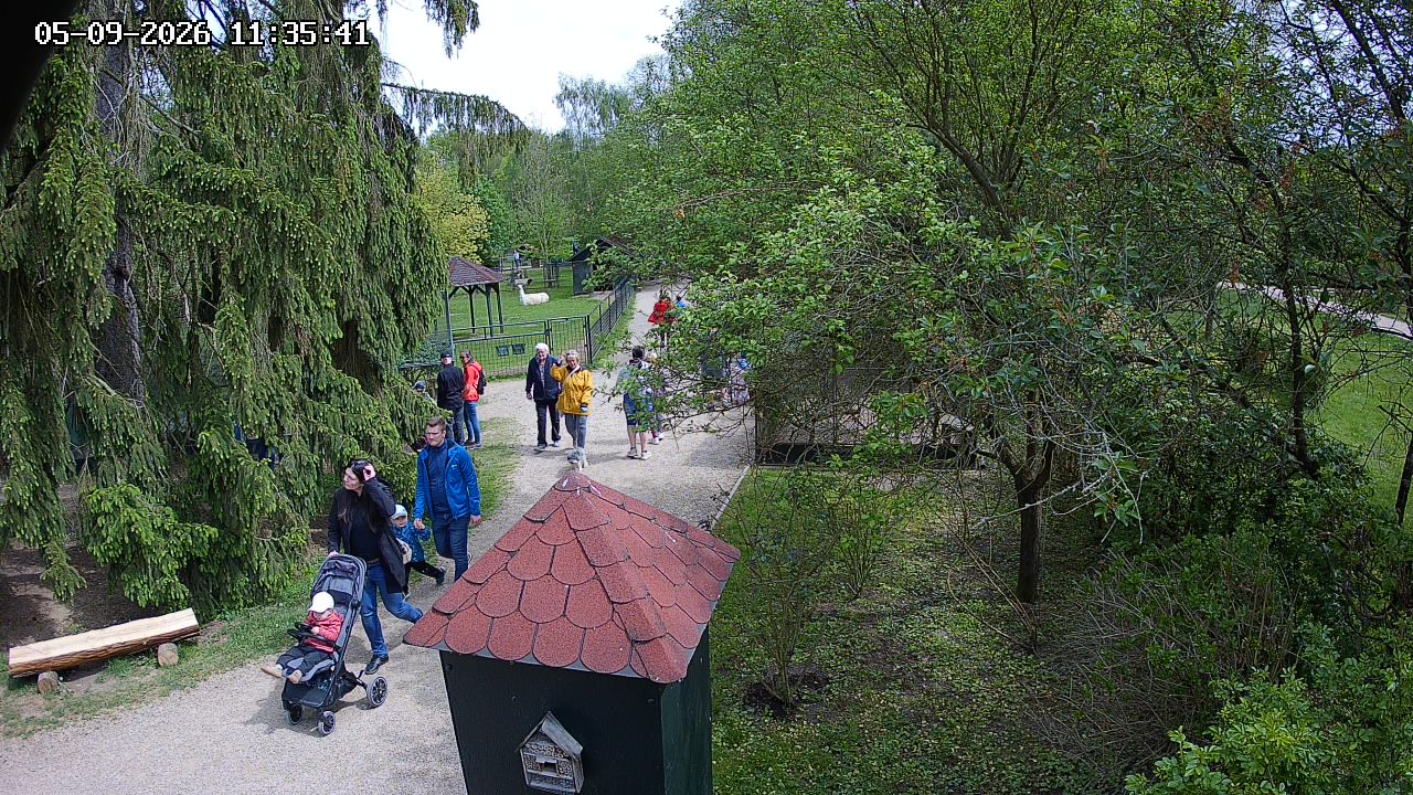 Webcam - Častolovice
