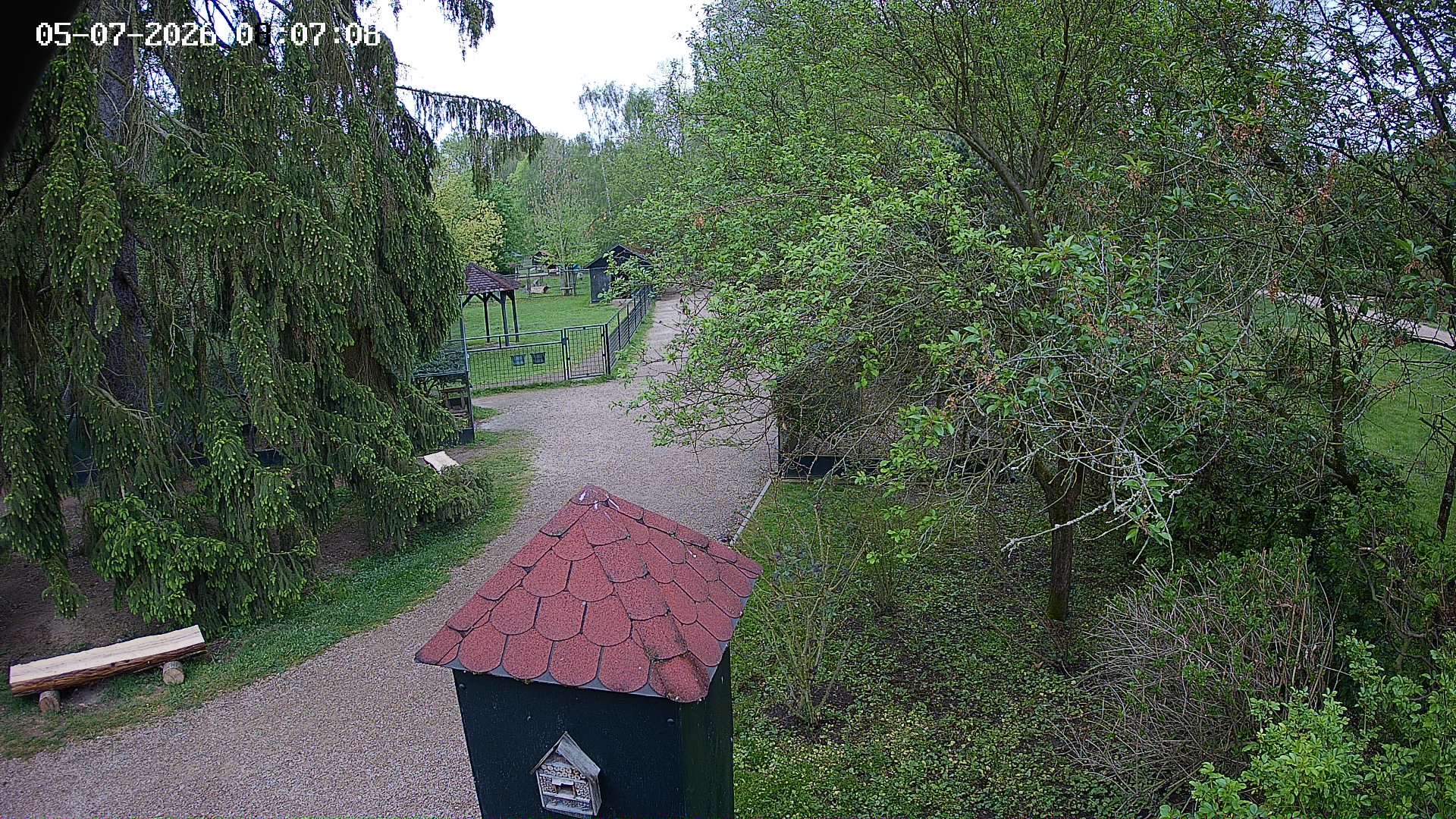 Kamera na żywo - Czastolovice