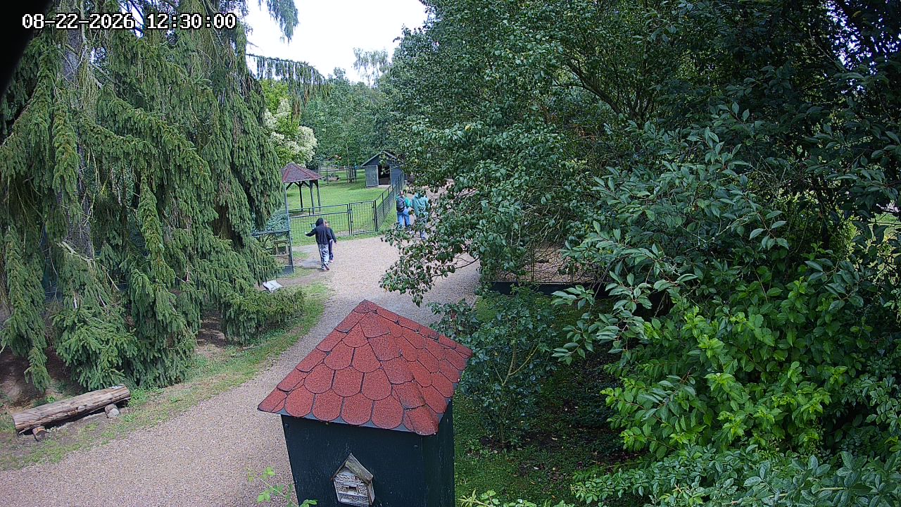 Webcam - Častolovice