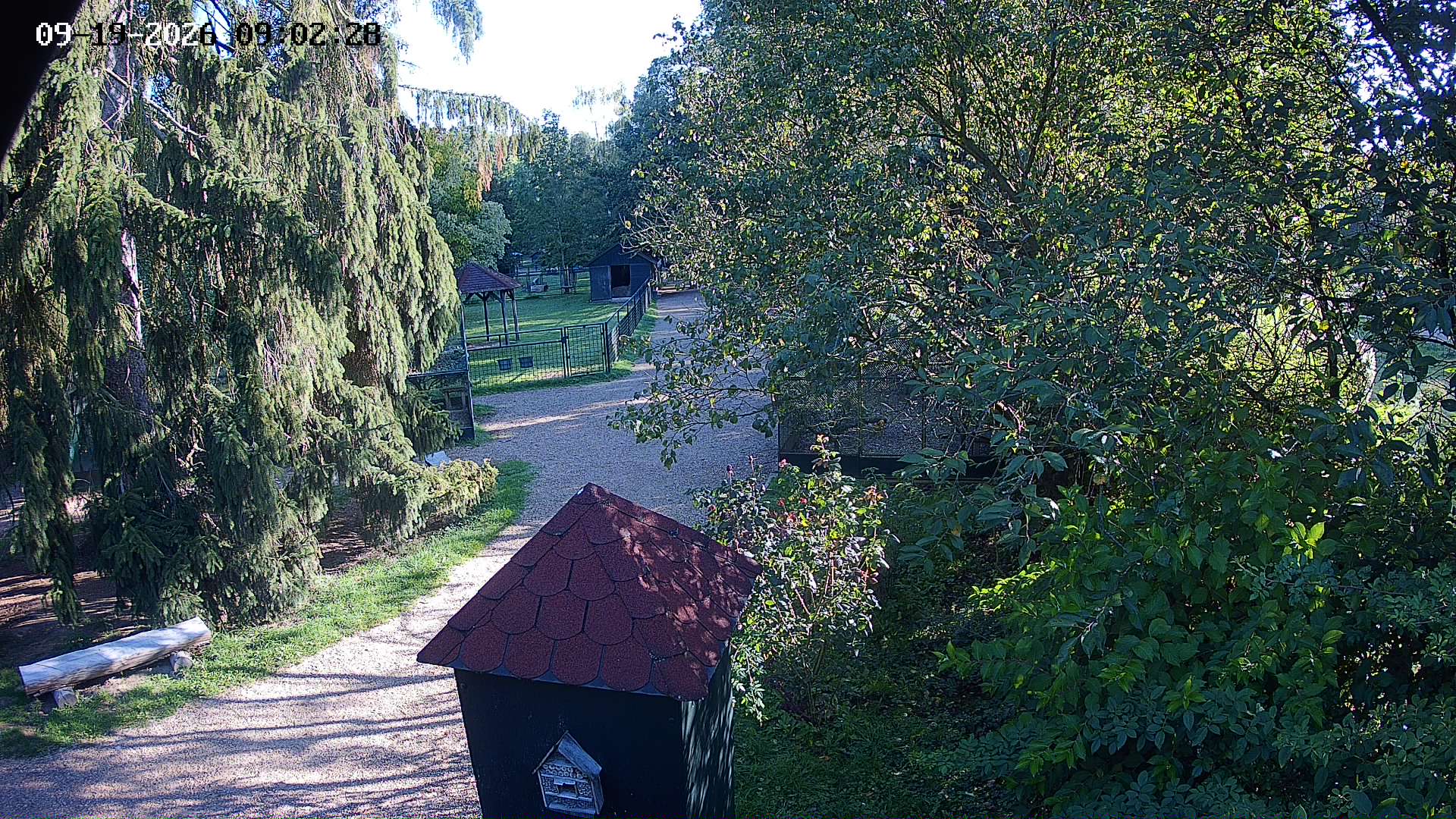 Kamera na żywo - Czastolovice