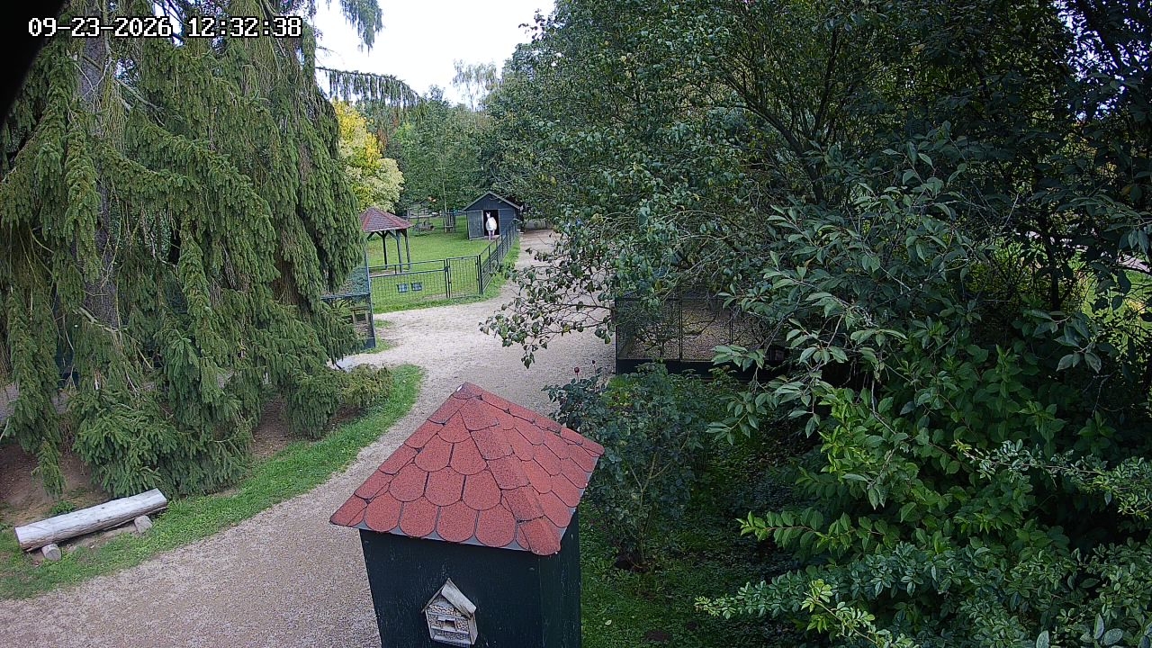 Webkamera - Častolovice